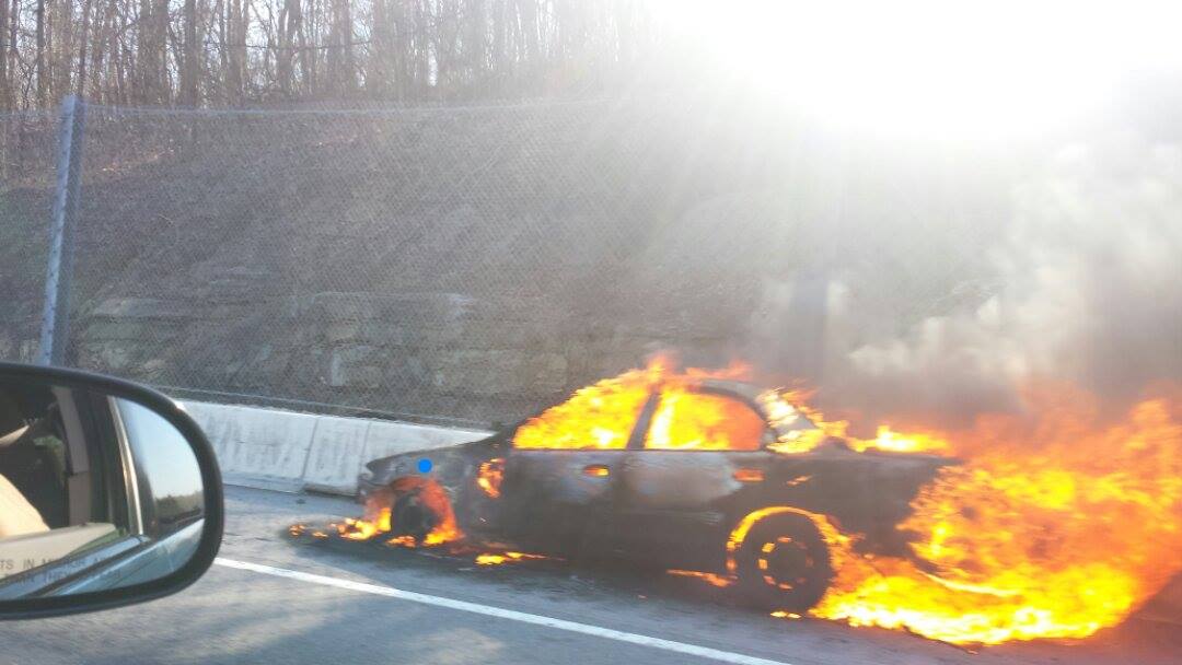 Photo courtesy of Deanna Dunaway