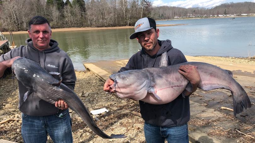 51-POUND CATFISH CAUGHT IN ROANE COUNTY (PIC) | Crossville News First